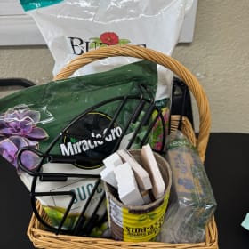 Heritage Potted Apple Tree & Gardening Basket item