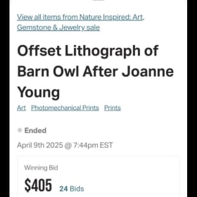 Owls Lithograph Print, signed art by Joanne Young item