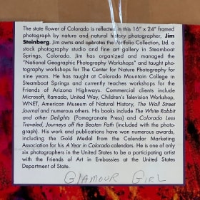 “Glamour Girl” – Signed Fine Art Photograph by Jim Steinberg item