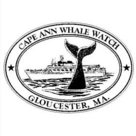 Gloucester Excursion item