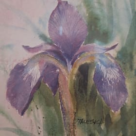 HH11 - "Shades of Purple" Hand-signed Print - Jim Taleski item