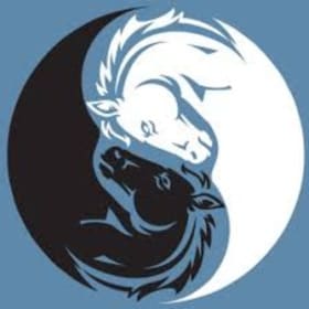 White Horse Yoga and Fitness 3 class pass item