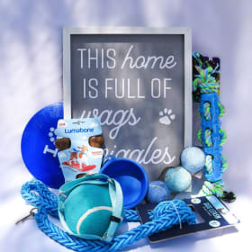 117 Dog Gift Basket item