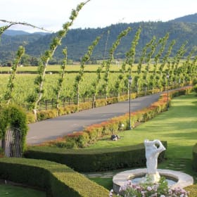 Peju Province Winery Tasting for 4 item