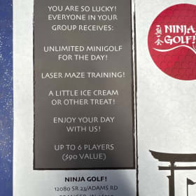 Ninja Golf item