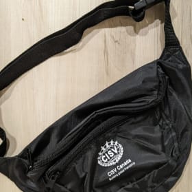 Past merch - Fanny Pack (Black) item