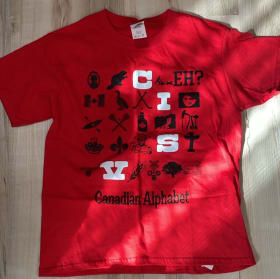 Past merch - T-Shirt (Red OR Burgundy) item