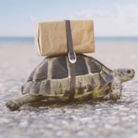 Shipping - Flat Fee item