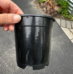 Quart Pot item