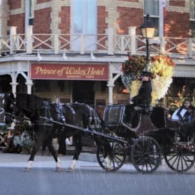Carriage Ride in Niagara-on-the-Lake $140 Value item