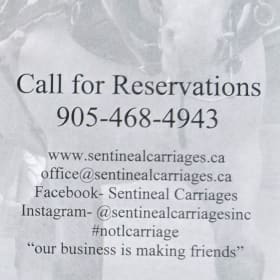 Carriage Ride in Niagara-on-the-Lake $140 Value item