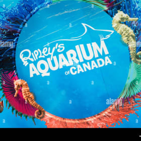 Ripley's Aquarium - 4 Adult Passes: $200 Value item