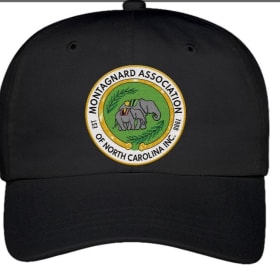 Black Dad's hat item