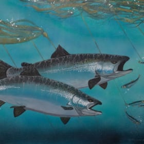 "Pursuit" by Dale Cooper item