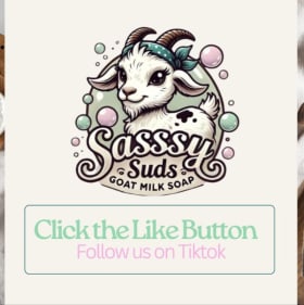 102 Sasssy Suds item