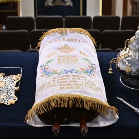 Special Reading - The Ark / Va'yehi Binsoa item