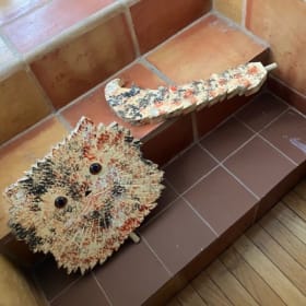 "Scooty" - The Cat Table with Storage item