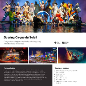 Las Vegas trip for 2 item