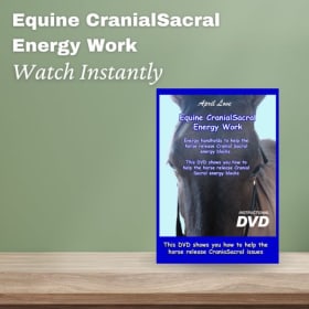 Equine CranioSacral Energy Work - April Love item