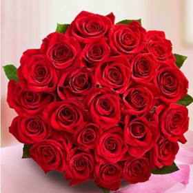 Two Dozen Fresh Roses from Robertson's Flowers item