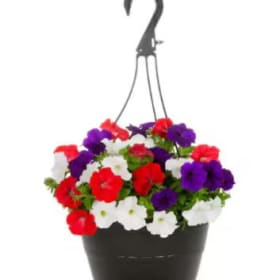Flower Basket item