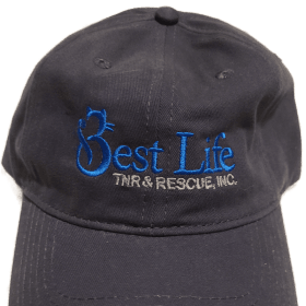 Best Life Ball Cap Dark Blue item