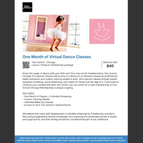 One Month of Virtual Ballet Classes – Tutu School Chicago item