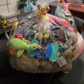 It's a Dog's Life (Room 13 - Mrs. Kinnier) - $180 Value item