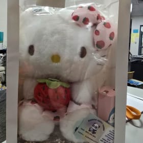 Hello Kitty Plush Bag - $25 Value item