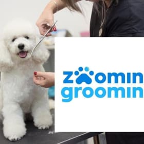 57. Zoomin Groomin Gift Card for Mobile Groom Session item