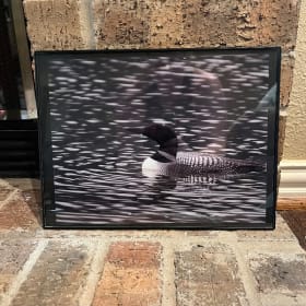80. Loon on Alaska Lake item