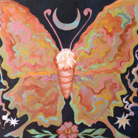 #17 Lepidoptera entropia item