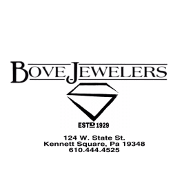 Diamond necklace & earrings item