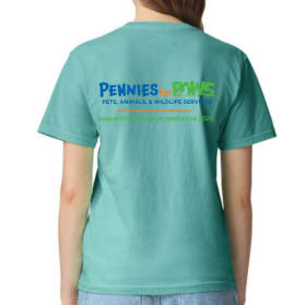 Chalky Mint Logo T-shirt (in stock: 1 small, 1 large, 1 XL)) item