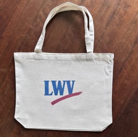 Hot Girls Read Ballot Measures - GUSSET item