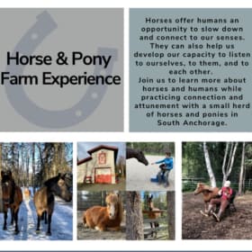Horse & Pony Farm Experience with Paper Birch Farm item