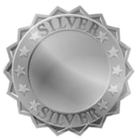 Presenting Sponsor: SILVER item