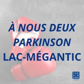 Session de boxe adaptée (lundi et jeudi) - Lac-Mégantic item