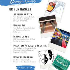 46. OC Fun Basket item