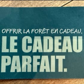 Une nuitée dans un dôme En Forêt à Ragueneau item