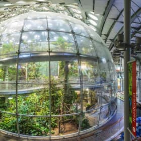 Cal Academy of Sciences - Family Pass item