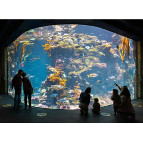 Cal Academy of Sciences - Family Pass item
