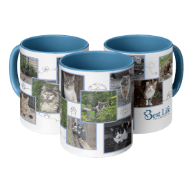 Community Street Cat Photo Mug 11oz item
