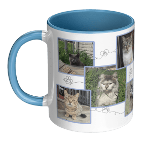 Community Street Cat Photo Mug 11oz item