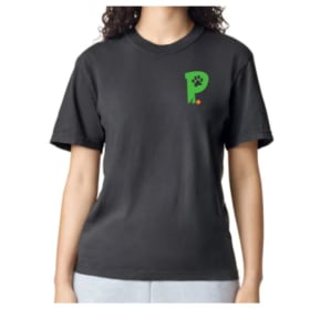 Graphite Logo T-Shirt (in stock: 1 Small, 1 XL) item