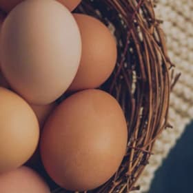 Free Eggs for a year! item