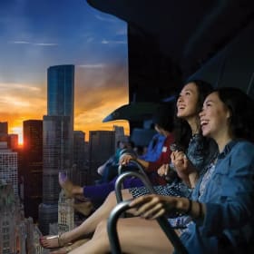 Chicago Flyover - 4 Single Ride Tickets item