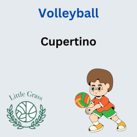 Volleyball - Cupertino Jollyman Park item