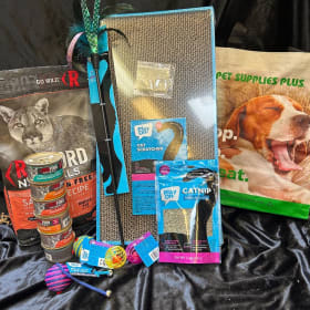 12. Ms. Favazza's Crafty Cat Basket item