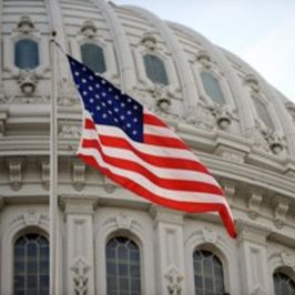 Flag Flown Over the U.S. Capitol item